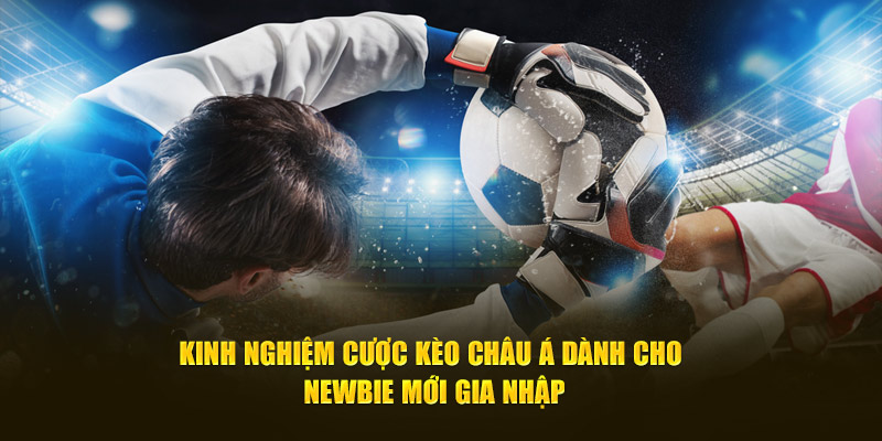 Kinh nghiệm cược kèo Châu Á dành cho newbie mới gia nhập